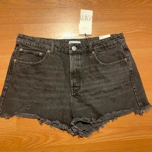 Zara Shorts